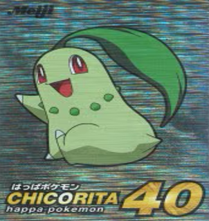 ゲットカード　チコリータ