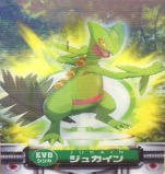 ポケモンずかんカードダス EVO キモリ・ジュプトル・ジュカイン