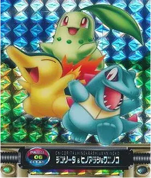 ポケモンずかんカードダス 06 プリズムクリア チコリータ&ヒノアラシ&ワニノコ