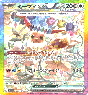 223/187 イーブイex SAR