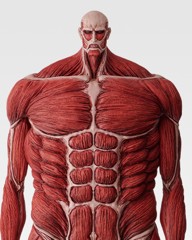 一番くじ 獣の巨人は俺が仕留める ラストワン賞 超大型巨人 MEGAIMPACT 未開封